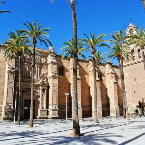 The outside of the cathedral in Almería with palm trees outside
