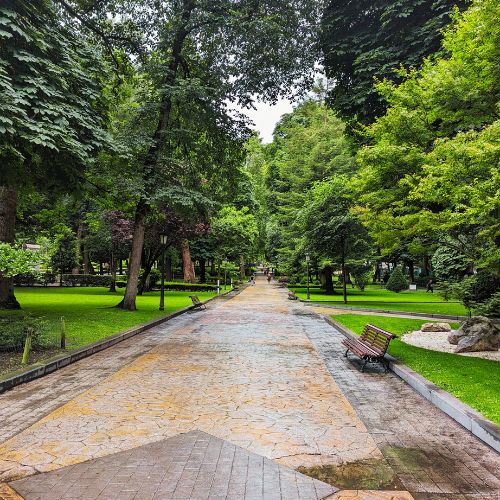 A walkway in a park with benches on either side.