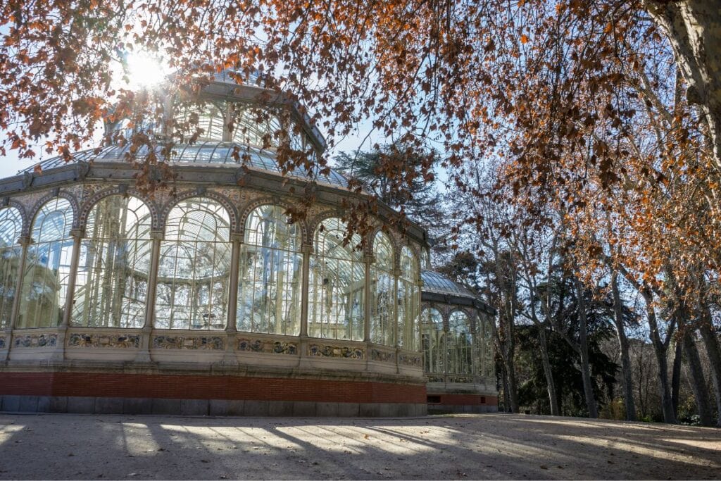 Retiro Park in Madrid during autumn with fallen leaves and golden trees