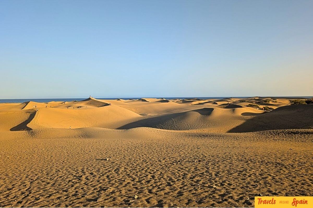Maspalomas sand dunes in Gran Canaria showcasing the south coast's unique desert landscape meeting the Atlantic Ocean with golden hour lighting.