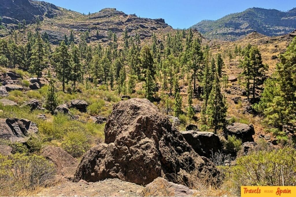 Gran Canaria volcanic interior mountains with pine forests showing dramatic landscape perfect for hiking during cooler months October to May.