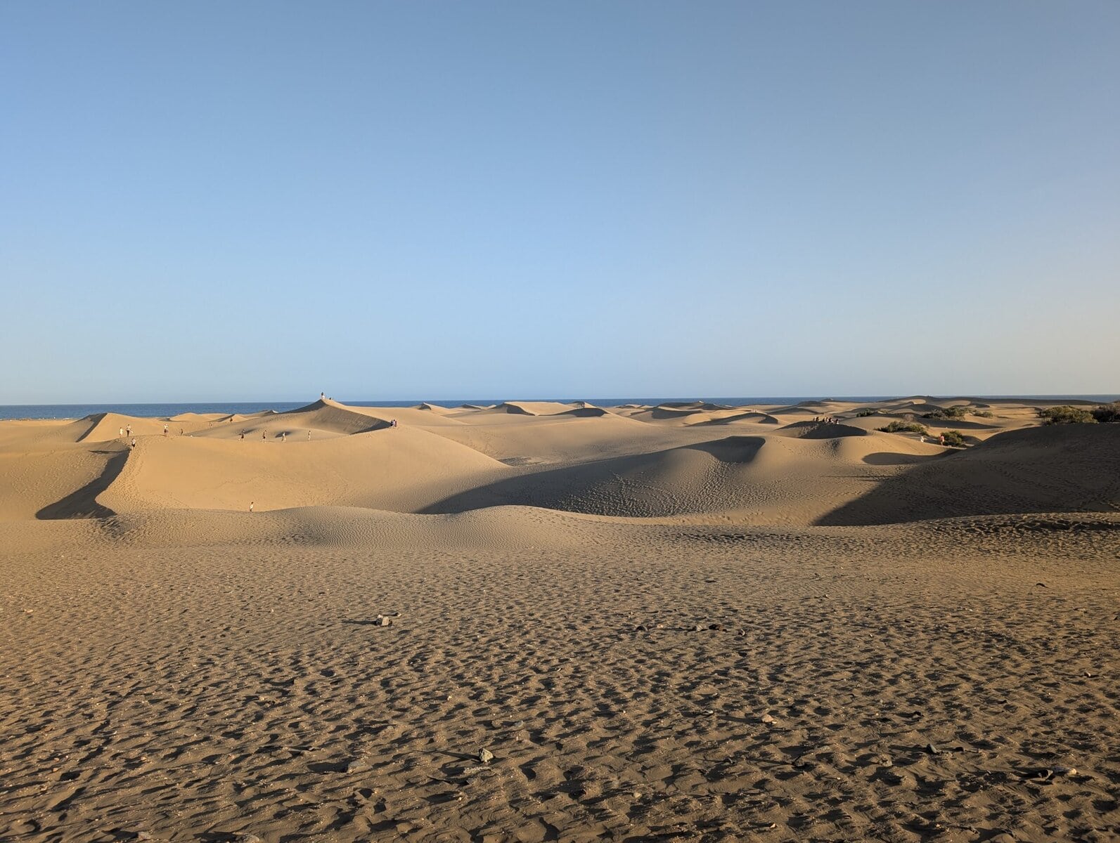 Maspalomas Dunes - golden sand dunes meeting the ocean