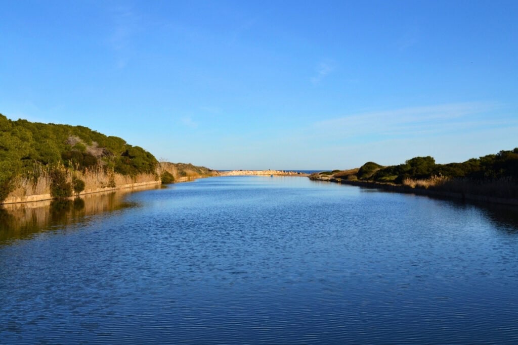 Peaceful freshwater lagoon surrounded by reeds and vegetation in Albufera Natural Park near Valencia