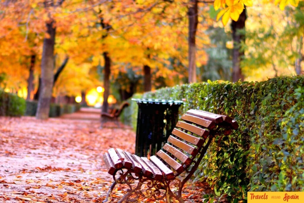 Retiro Park in Madrid with autumn leaves and empty bench in October