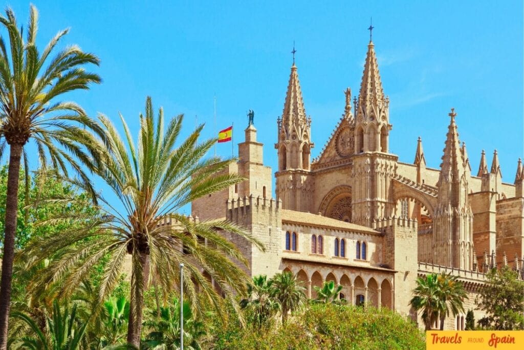 Palma Cathedral and palm trees in Mallorca