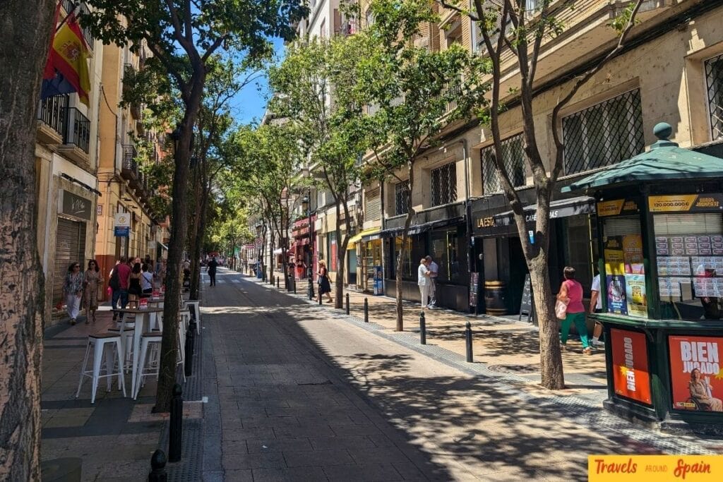 Tree-lined street in Zaragoza old town.