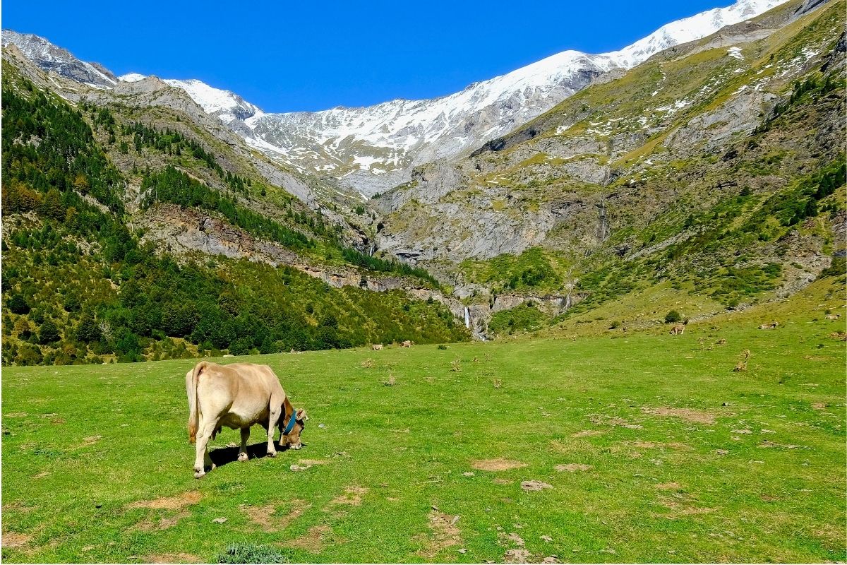 Ordesa National Park in Aragon