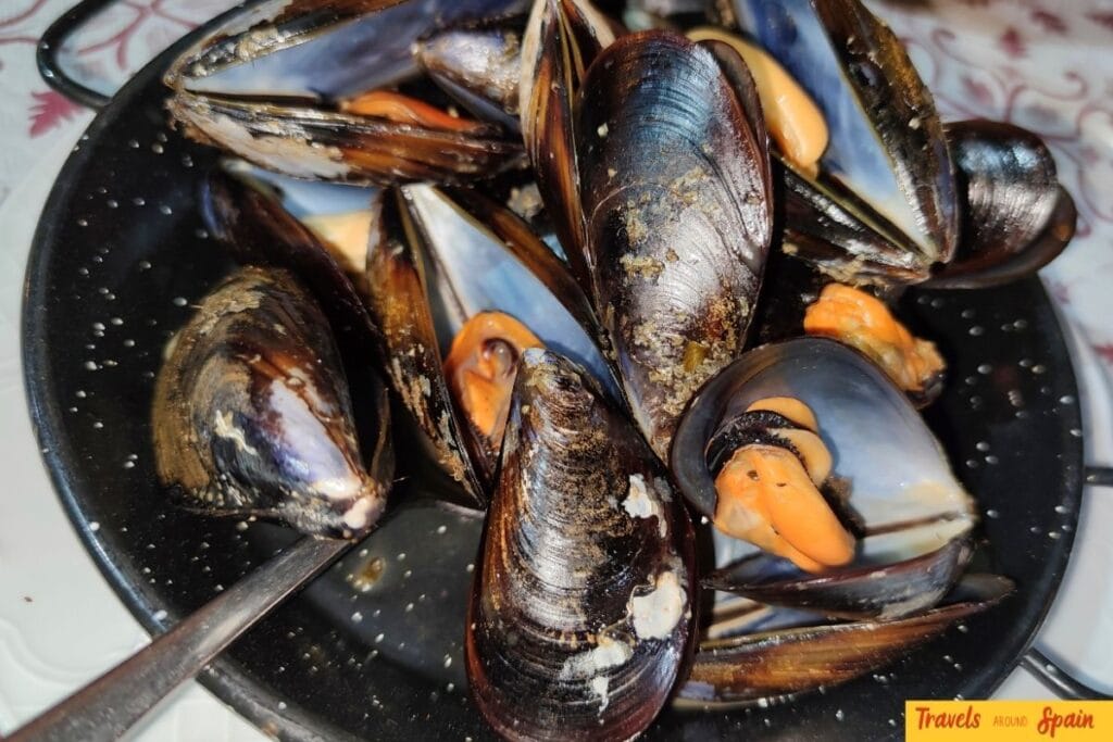 Fresh clóchinas served in Valencia