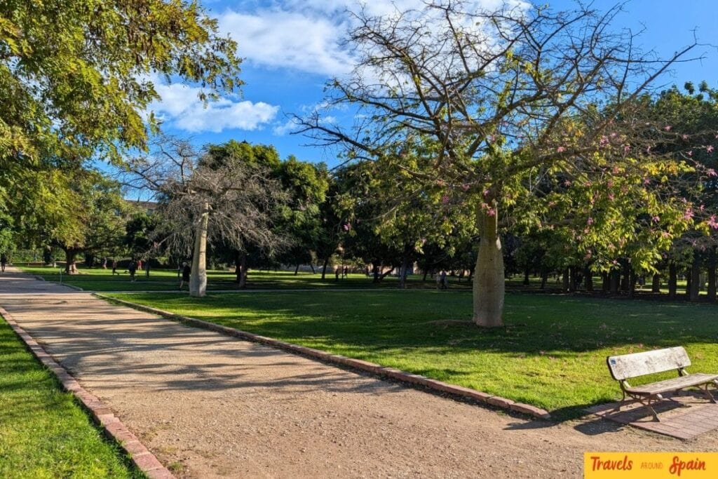 Tree-lined paths in Turia Gardens, Valencia